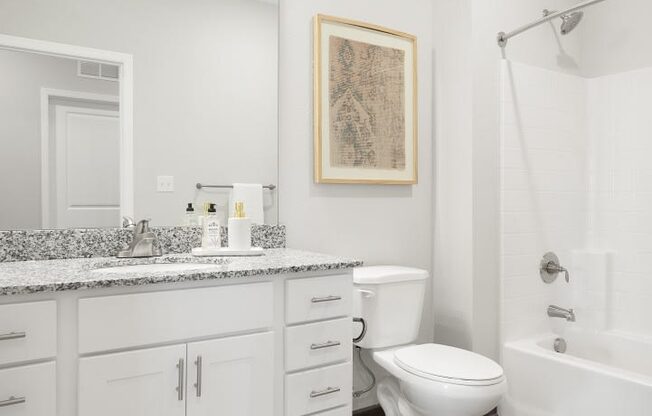 a bathroom with a shower toilet and sink and a mirror