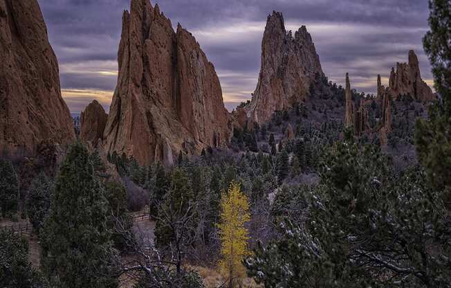 Neighborhood - Garden of the Gods