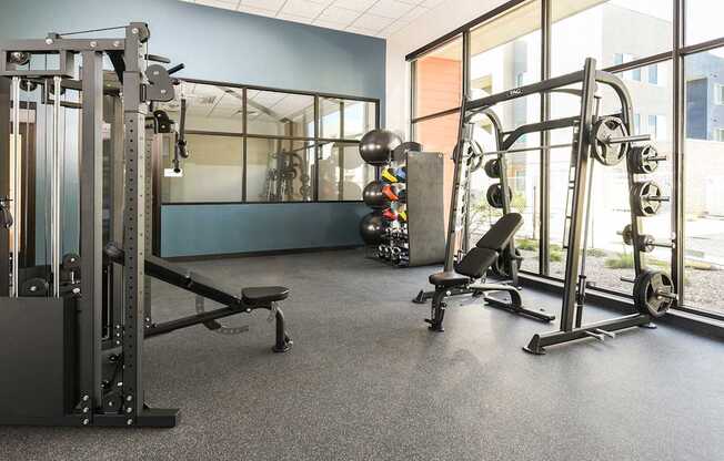 A gym with a variety of equipment including a squat rack, bench, and dumbbells.