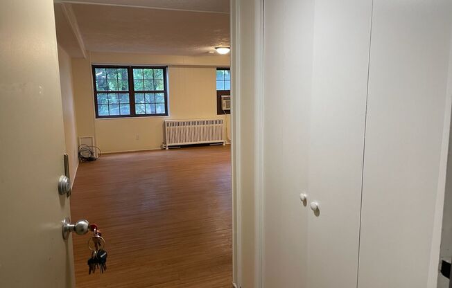 Studio, 1 bath, 492 sqft, $1,125