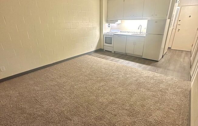 Studio, 1 bath, 302 sqft, $1,075, Unit 207