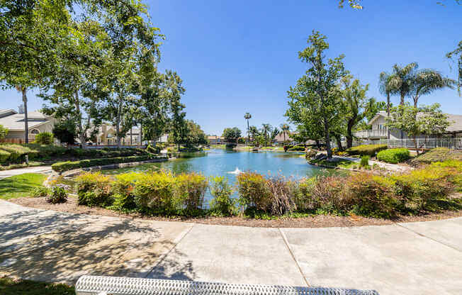 a view of the pond with trees in the background