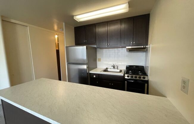 Studio, 1 bath, 360 sqft, $1,050, Unit 309