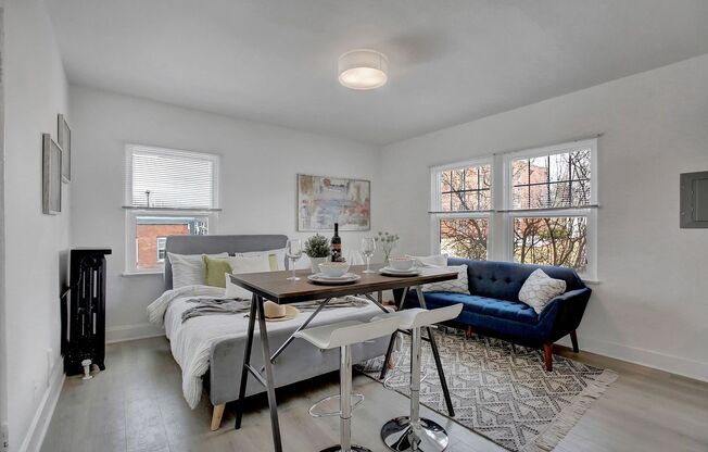 Studio, 1 bath, 235 sqft, $1,095, Unit 203