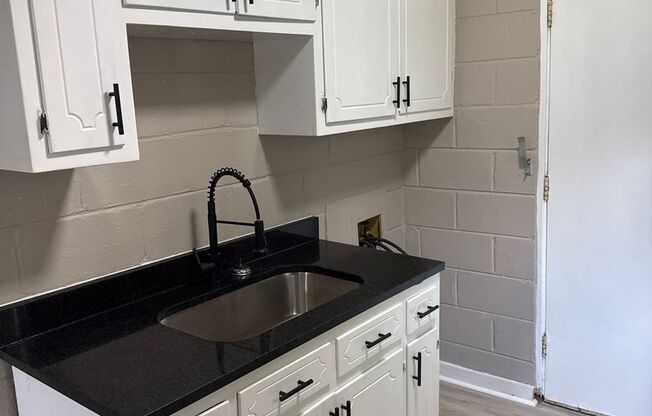 2 Bed 1 Bath Apartment