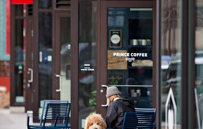Dog In Front Of A Coffee House