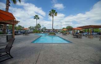A pool surrounded by palm trees and a patio area at Willow Creek Apartments, Texas, 77012