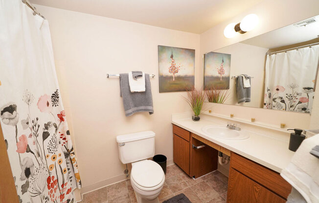 Updated Bathrooms at Emerald Park Apartments, Kalamazoo, 49001