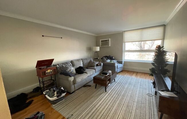 1 bed, 1 bath, $1,340