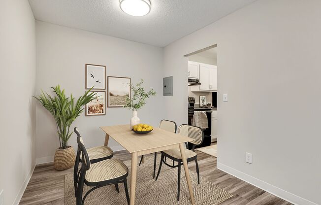 Welcome to Equinox Apartments