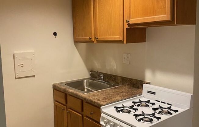 Studio, 1 bath, 225 sqft, $1,399, Unit 45