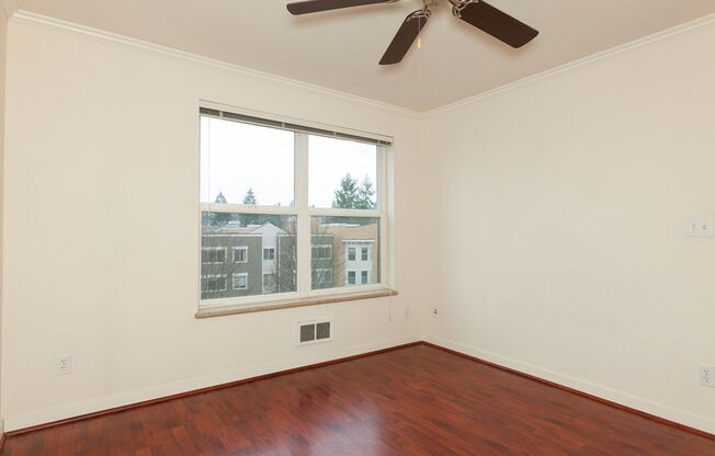 1 bed, 1 bath, 503 sqft, $2,395, Unit #504