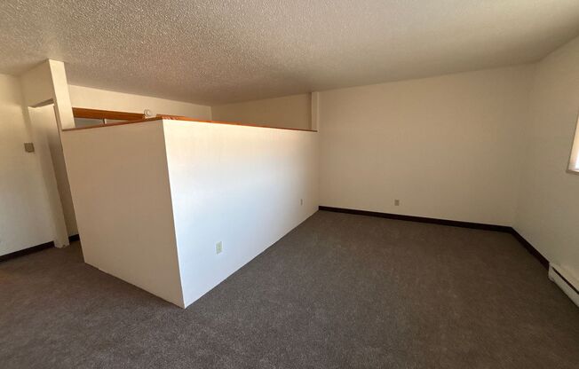 Studio, 1 bath, 500 sqft, $650, Unit 215