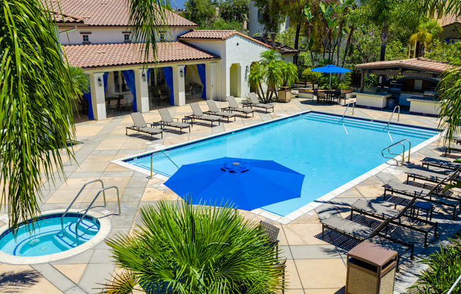 A pool surrounded by palm trees and sun loungers.