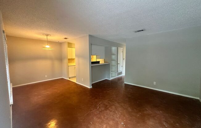 2 bed/1 ba: Lady Bird Lake Condo, Short Walk to Downtown!