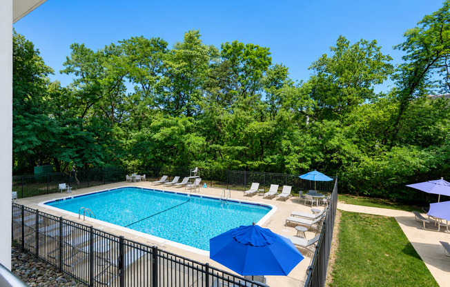 A pool surrounded by trees and chairs with umbrellas.