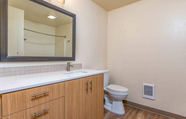 Bathroom with wood cabinetry, large mirror and toilet