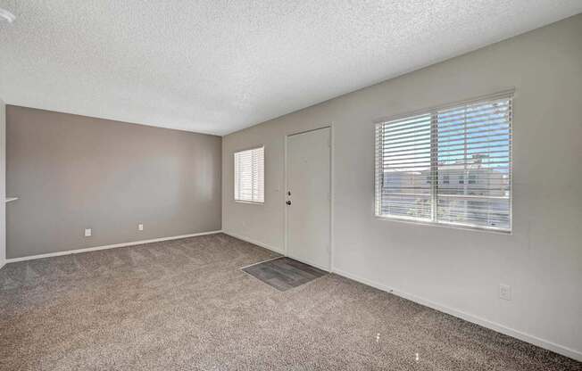 A room with a carpeted floor, a window with blinds, and a door.