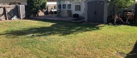 2123 Wiltshire Drive