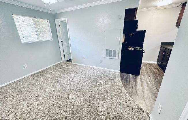 Studio, 1 bath, 500 sqft, $750, Unit 208