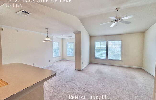 18123 BACK STRETCH LN