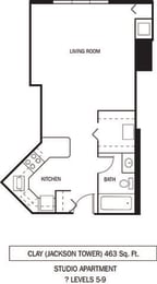 Studio, 1 bath, 463 sqft, $1,241