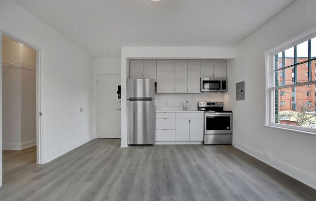 Studio, 1 bath, 270 sqft, $1,095, Unit 111
