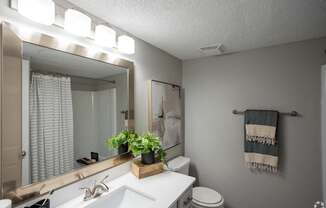 A bathroom with a white sink and a mirror above it.