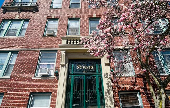 Stunning Building 1bed/ 1bath unit available.