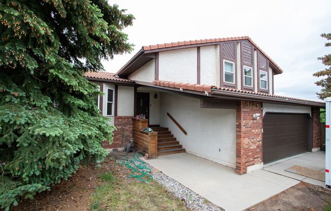 Beautiful Briargate Home on a Spacious Corner Lot!