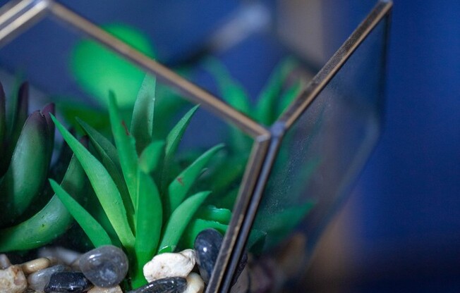 2 beds, 2 baths, 1,126 sqft, $3,527, Unit 416