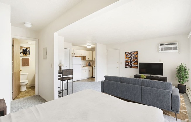 A living room and bedroom area with a grey couch at Brookside Apartments, Springfield