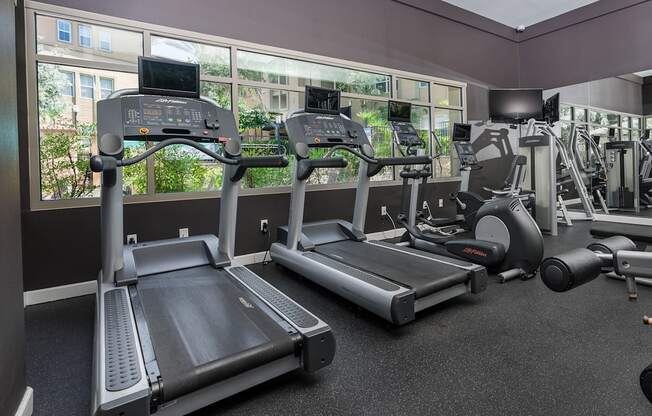 a row of treadmills in a gym