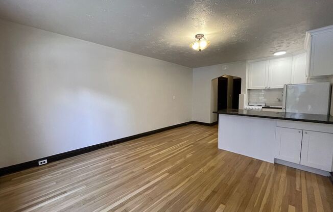 Studio, 1 bath, 330 sqft, $1,450, Unit 112