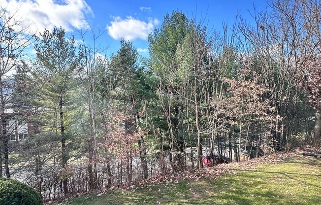 2 beds, 1 bath, 644 sqft, $975, Unit Pine Cone Village B-25