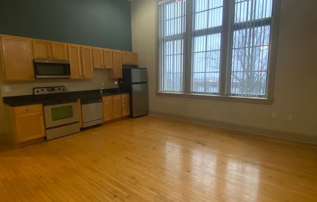 1 bed, 1 bath, 787 sqft, $1,445, Unit 1517 S. Theresa Ave. #204