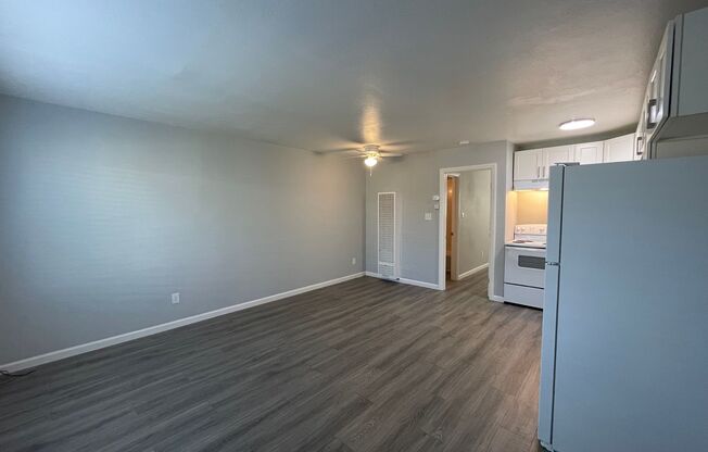 1020 N San Joaquin St - Beautifully Renovated Apartments