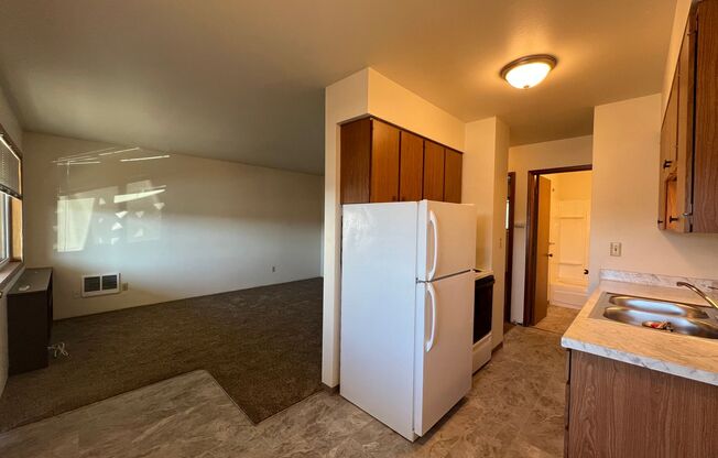 1 bed, 1 bath, 600 sqft, $925, Unit N-1