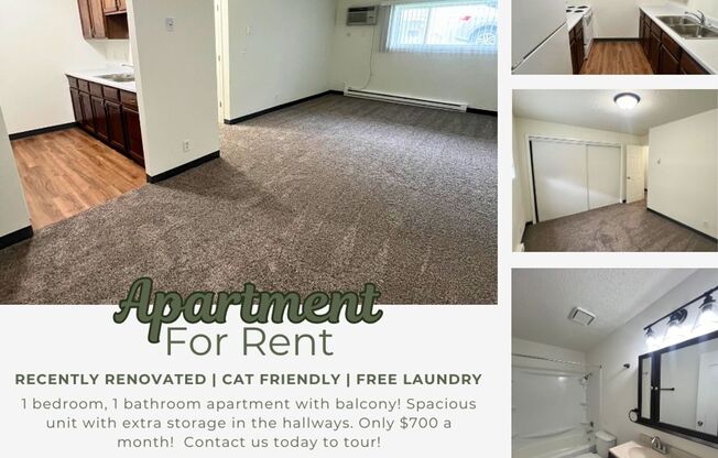 1 bed, 1 bath, $700, Unit 104