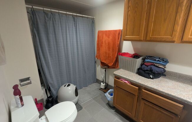 1 bed, 1 bath, 620 sqft, $1,450, Unit 215