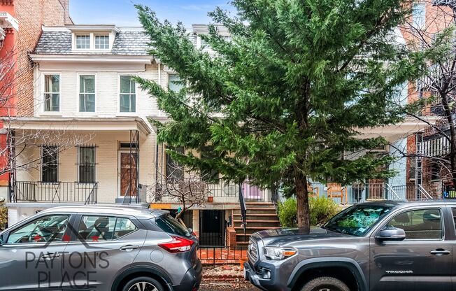 Renovated English Basement in U St area