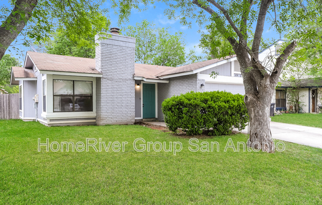 6134 VLY TREE