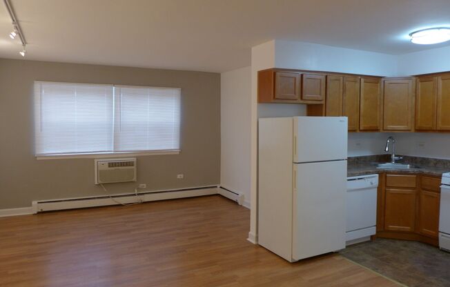 Studio, 1 bath, 400 sqft, $1,275, Unit 409