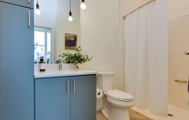 1 bed, 1 bath, 282 sqft, $825