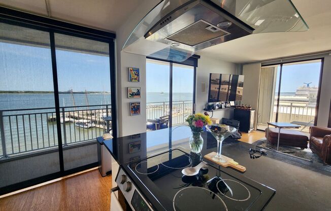 Luxurious 2br condo overlooking the Charleston Harbor!