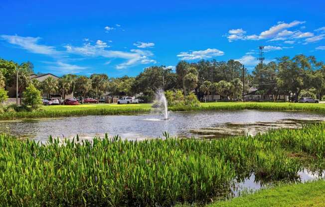 Community lake at Oasis at Bayside Apartments in Largo, FL