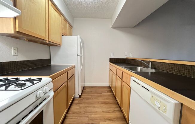 Studio, 1 bath, 575 sqft, $1,201, Unit OCR-210