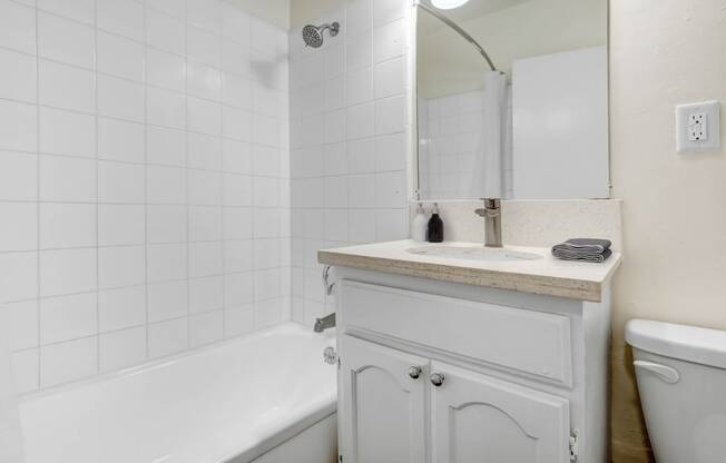 a bathroom with a sink and a toilet and a tub