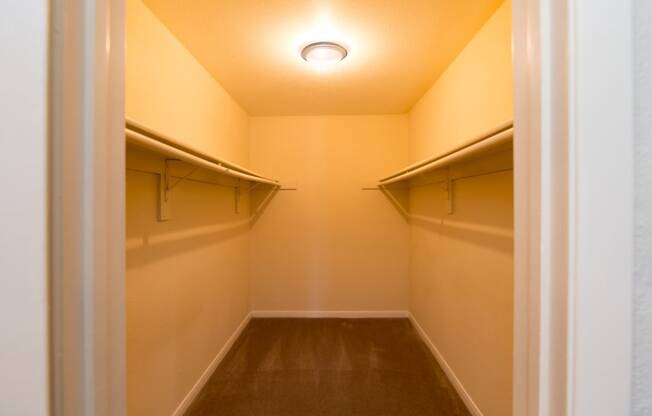 a walk in closet with empty shelves and a ceiling light