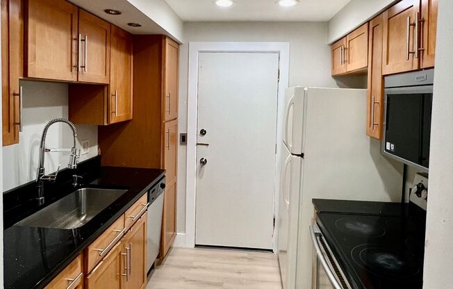 Amazing 1 Bed / 1 Bath Unit Just REHABBED! Rosemont Entertainment District! Parking and Storage INCLUDED!